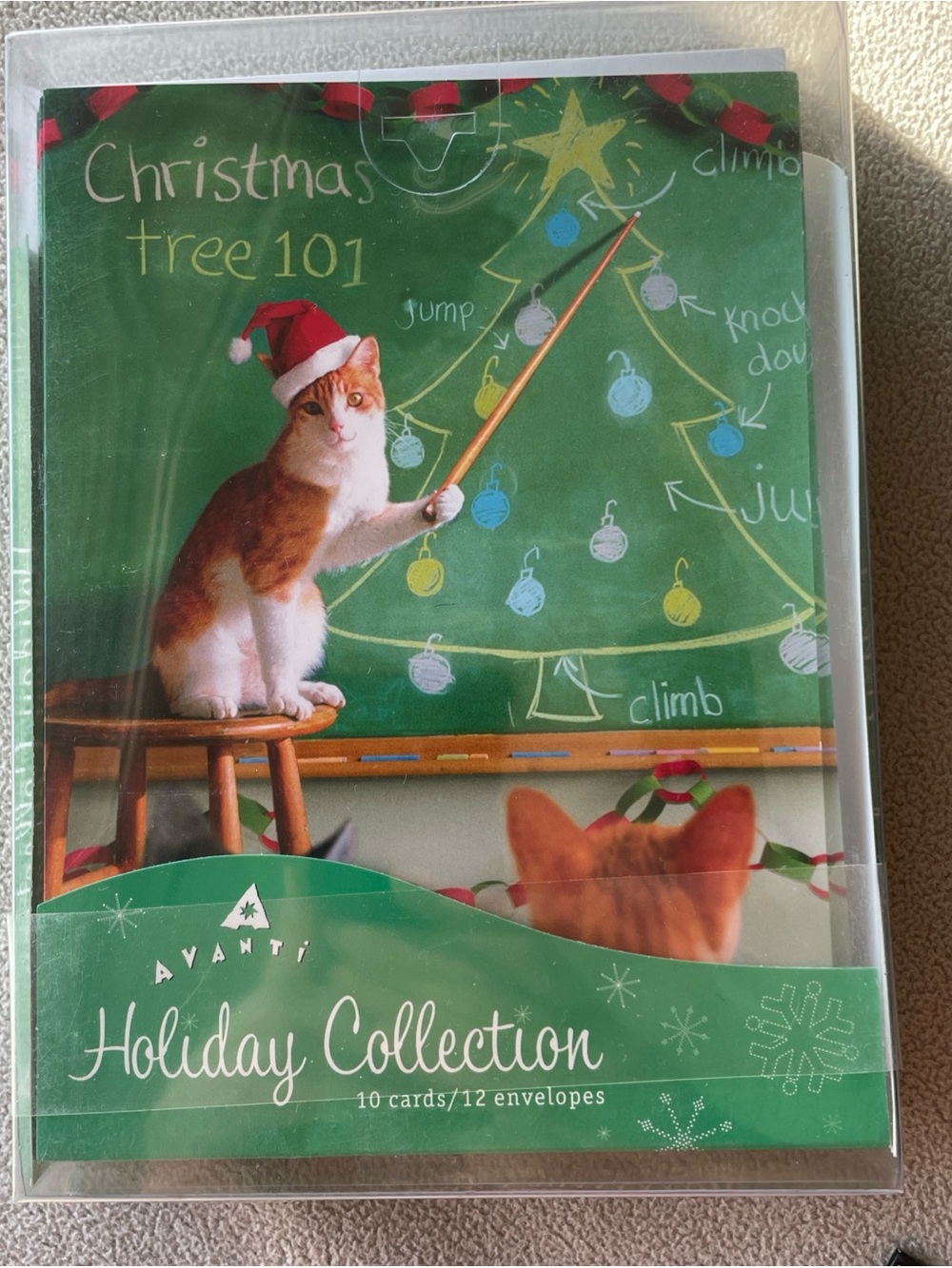 Avanti Holiday Collection Cat with Santa Hat Christmas Cards - Green